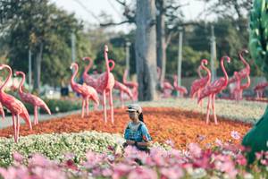 BIB: 
                            <button type="button" onclick="openModal(27344185)" class="btn btn-primary btn-sm float-right btn-popup" data-toggle="modal" data-target=".modal-high-quality">
                        <i class="fas fa-shopping-cart"></i> Add to Cart
                    </button>
                                            <button type="button" onclick="isThisMe(27344185, true)" class="btn btn-success btn-sm float-right btn-popup btn-isme hidden" data-toggle="tooltip" data-placement="bottom" title="นี่คือรูปของคุณใช่ไหม คลิกที่นี่เพื่อเอาเข้าอัลบั้ม">
                        <i class="fas fa-plus"></i> Add to album
                    </button>
                    <button type="button" onclick="isThisMe(27344185, false)" class="btn btn-warning btn-sm float-right btn-popup btn-isnotme hidden">
                        <i class="fas fa-ban"></i> Remove from album
                    </button>